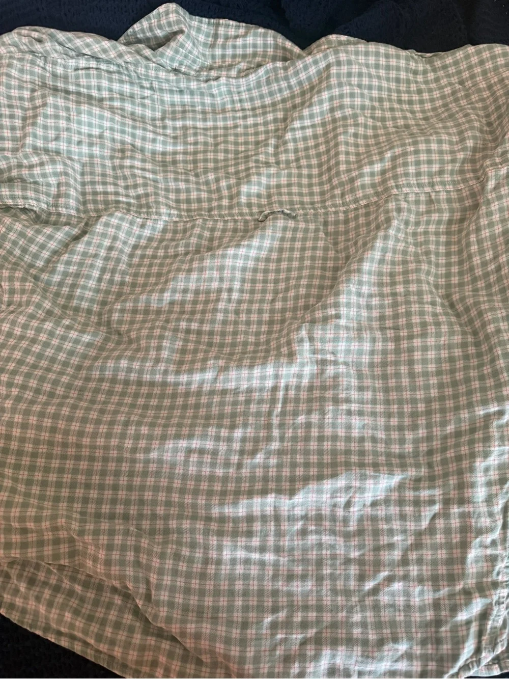 Light Green Plaid Button-Up Shirt